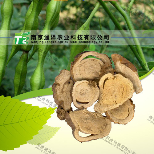 Manufacturer Supply Pure Natural Herb Medicine Ginseng Ren Shen