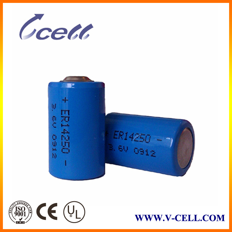 Er14250 Er14250m 1/2AA Size Lithium Metal Battery Lisocl2 Battery for Reading Meter Application