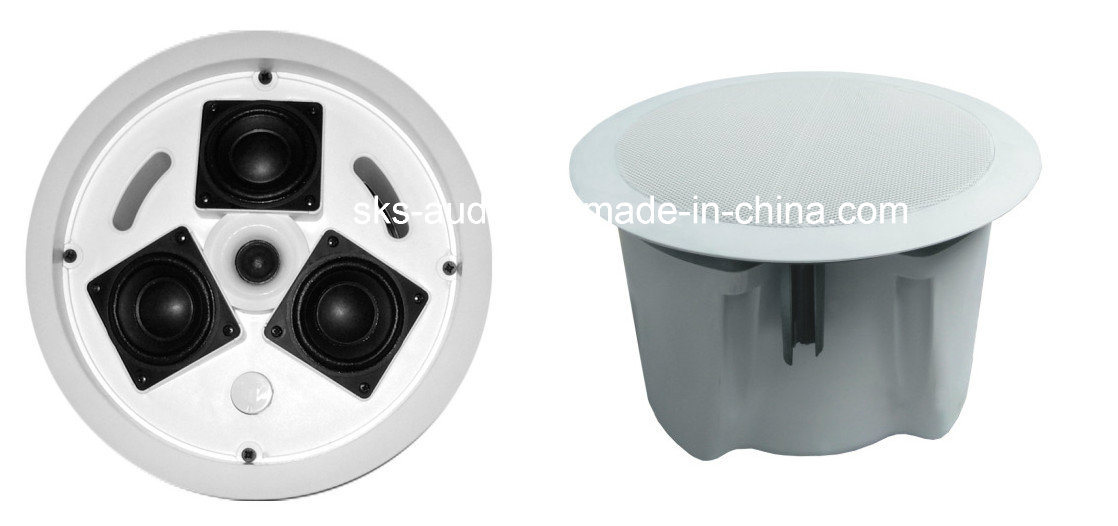 Indoor Ceiling Speaker with Perfect Bass for Business Conference, Banks