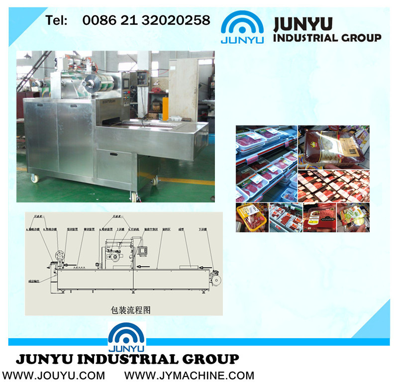 Automatic Fresh Vegetable Vacuum Pack Machine