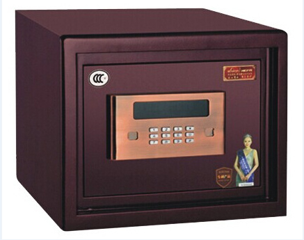 Electronic Safe