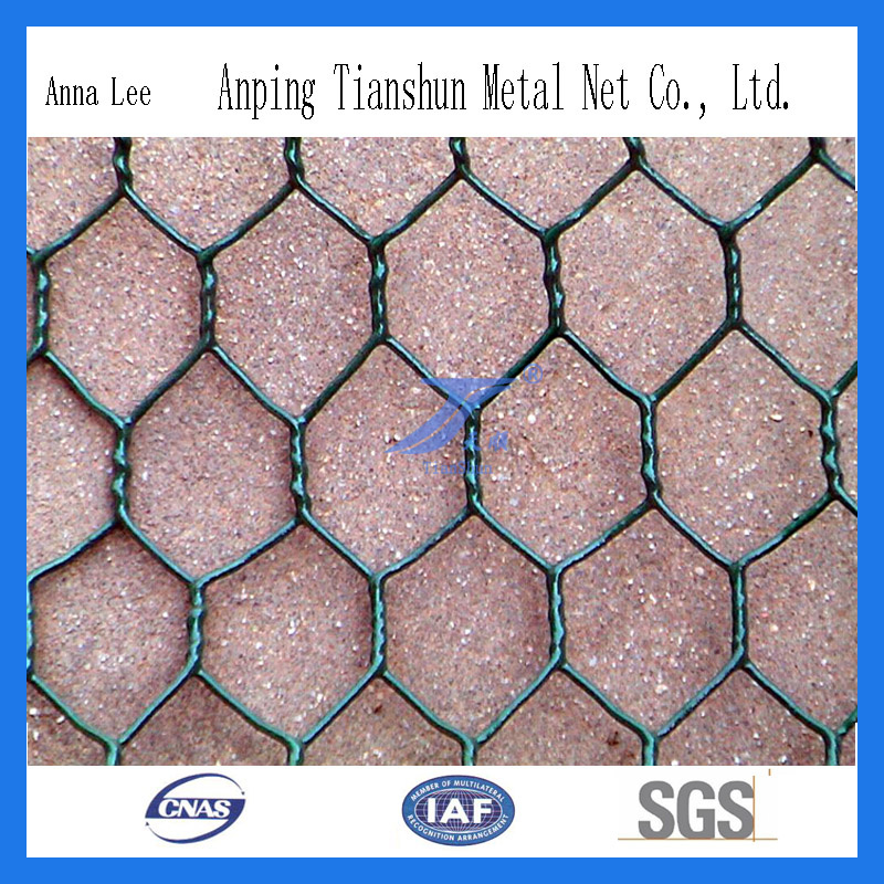 PVC Coated Hexagonal Wire Mesh (factory)