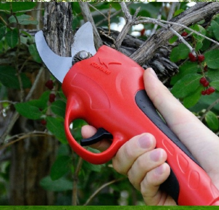 Koham Tools 24voltage Bypass Secateurs Hedge Trimmers Electric Scissors Power Loppers Electicity Pruners Powered Lithium Battery Pruning Shears