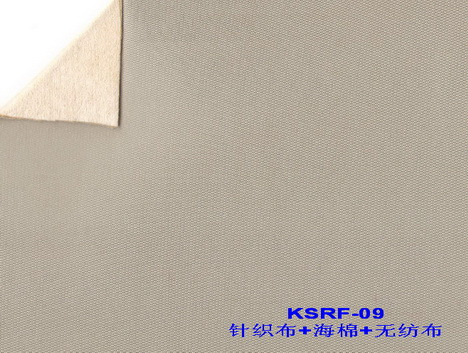 Auto Ceiling Lining