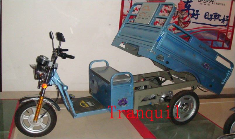 Electric Tricycle (AG-A13)