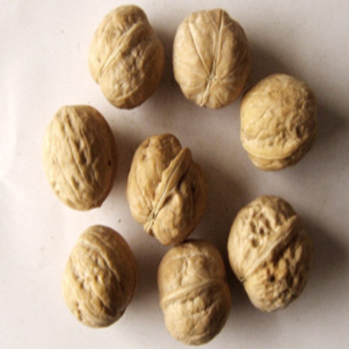 ISO9001 Chinese Lq Walnut Kernels