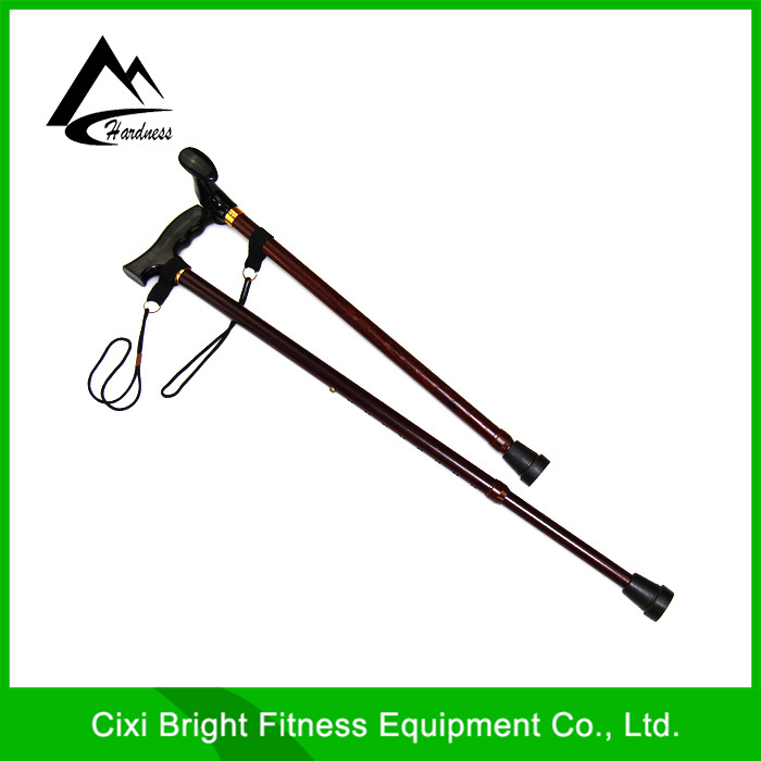 T Handle 2 Section Telescopic Medical Walking Stick