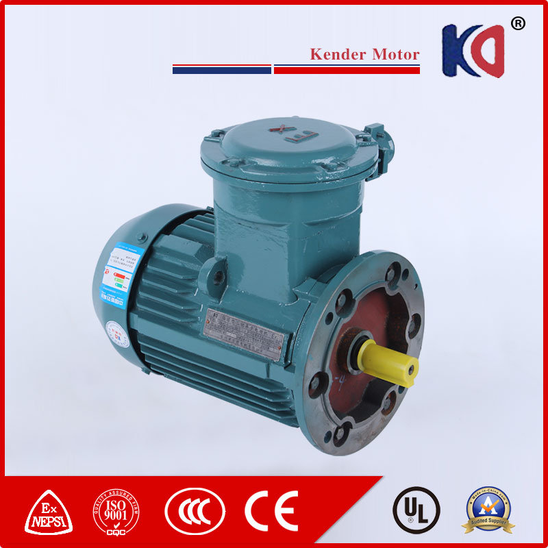 Single Phase Explosion Proof AC Electric Motor