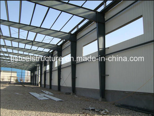 Good Design Light Steel Structure Warehouse Building Shed
