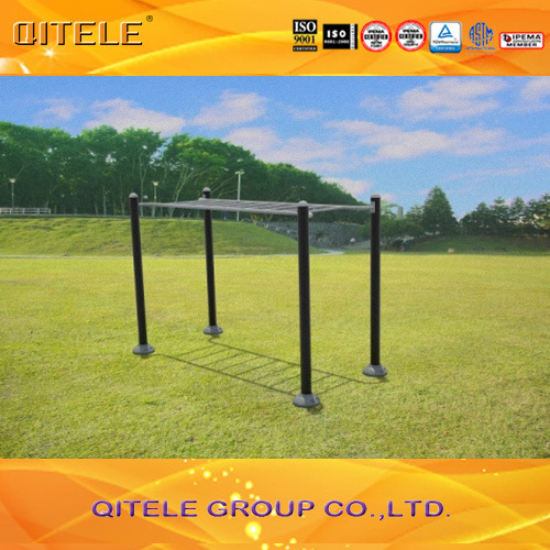 Outdoor&Indoor Gym Fitness Playground Equipment (QTL-2701)
