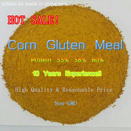 Low Price Corn Gluten Meal for Animal Feed