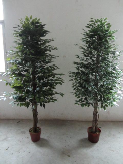 Artificial Plants and Flowers of Ficus Tree 1512lvs 180cm