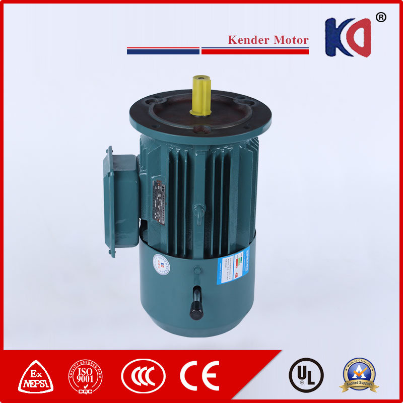 Electronical Brake Motor for Chemical Engineering Machinery