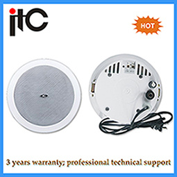 PA System 6W Waterproof Active Ceiling Speaker