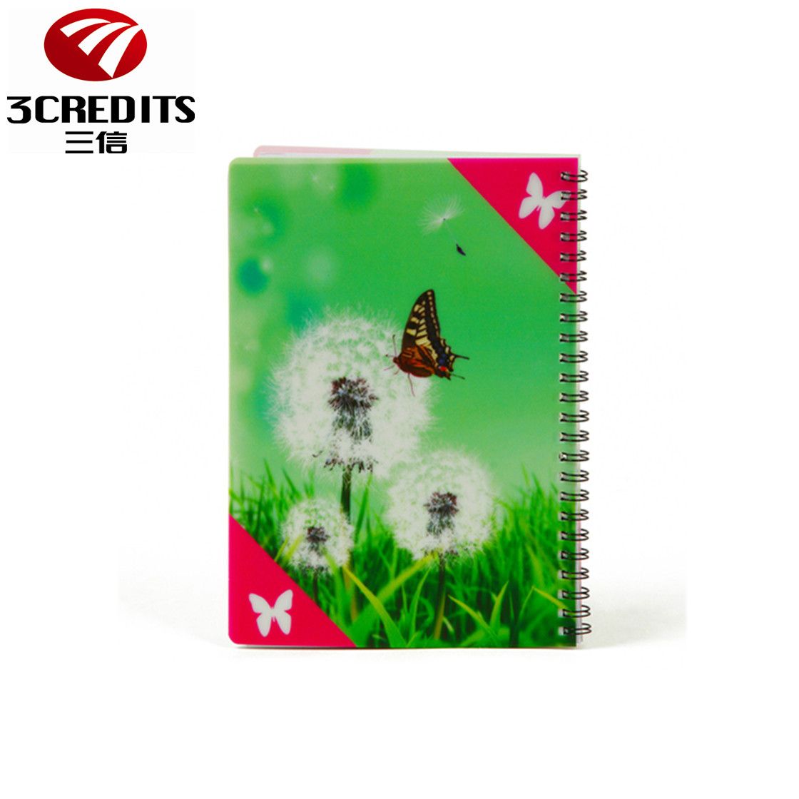 PP Wire Bound Notebooks