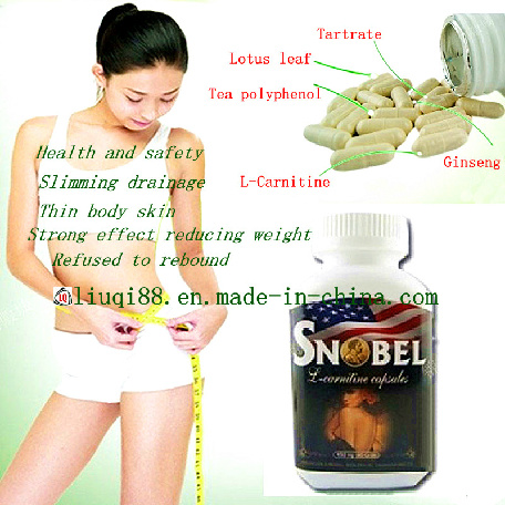 Traditional Chinese Medicine Powerful L-Carnitine Quality Goods Weight Loss Capsules