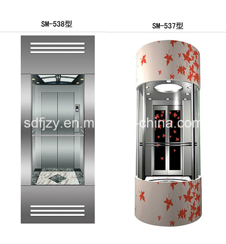 Glass Home Elevator