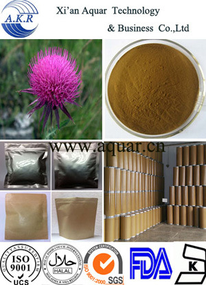 Manufacturer Supply High Quality Organic Milk Thistle Extract Natural Silymarins