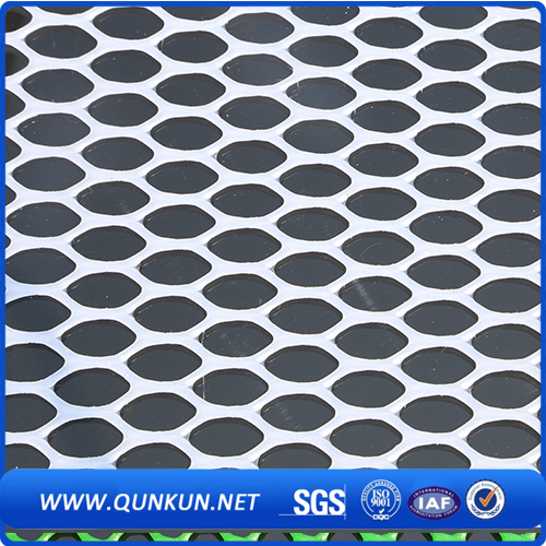 Factory Direct Sale Plastic Flat Net