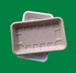 China Tray Bagasse Tableware