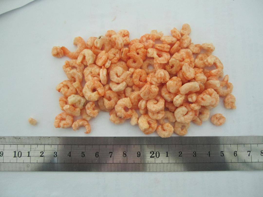 Instant Shrimp (freeze dried)