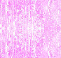 Wall Panel Decoration (JX-3905D) (Pink Topaz)