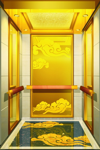 FUJI Villa Passenger Elevator