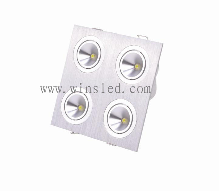 LED Down Light (WSL-DL030-02-4W) 