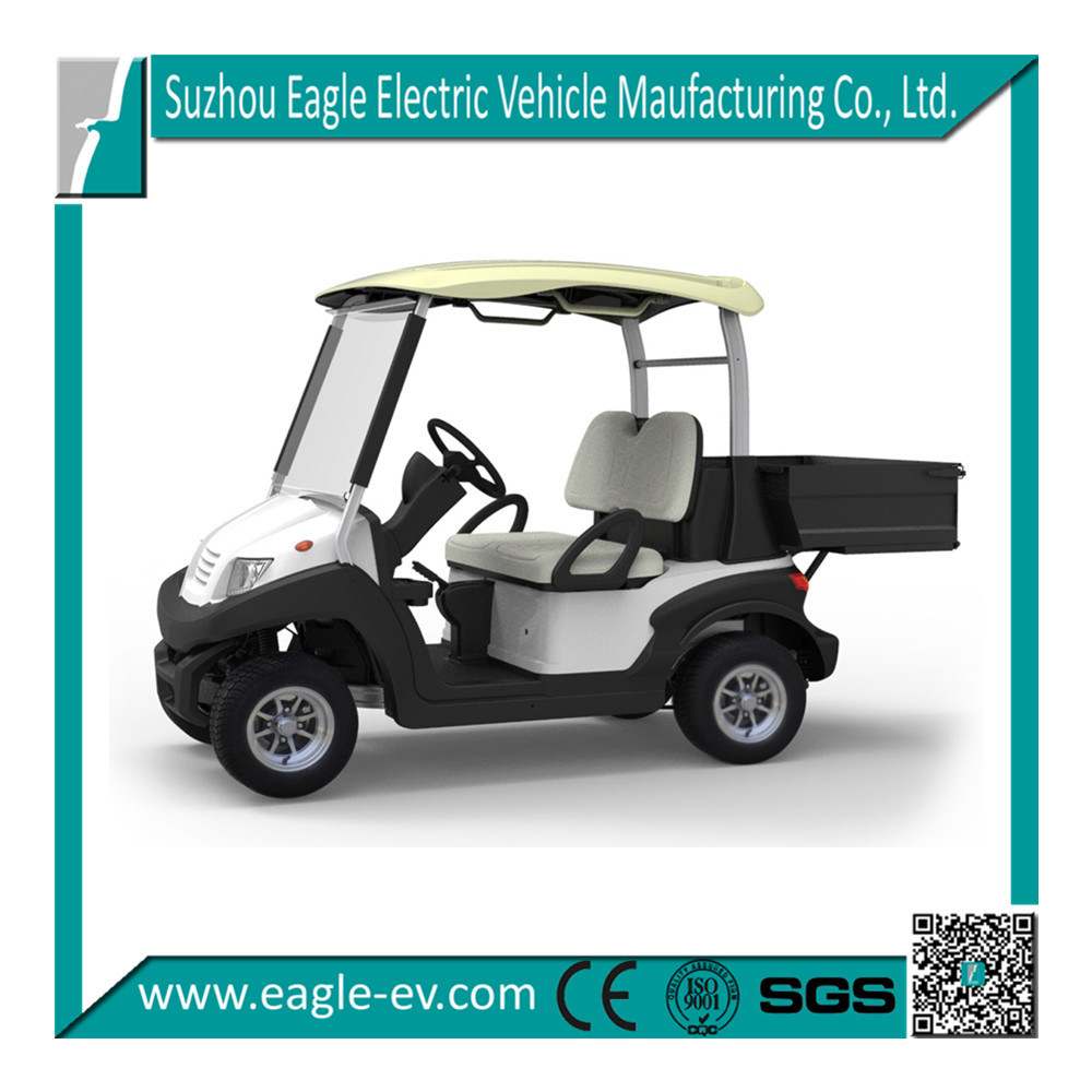Electric Golf Car Made in China Factory Supplied Golf Car with Box