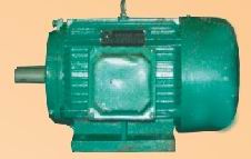 Three-Phase Motor