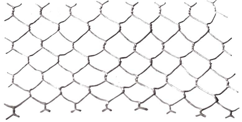 High Quality Galvanized Hexagonal Wire Netting