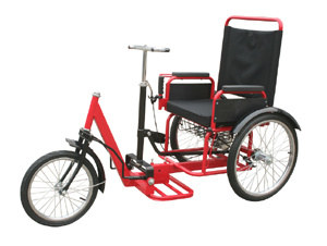 Push-Pull Chain-Free Tricycle