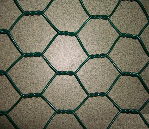 Hexagonal Wire Mesh