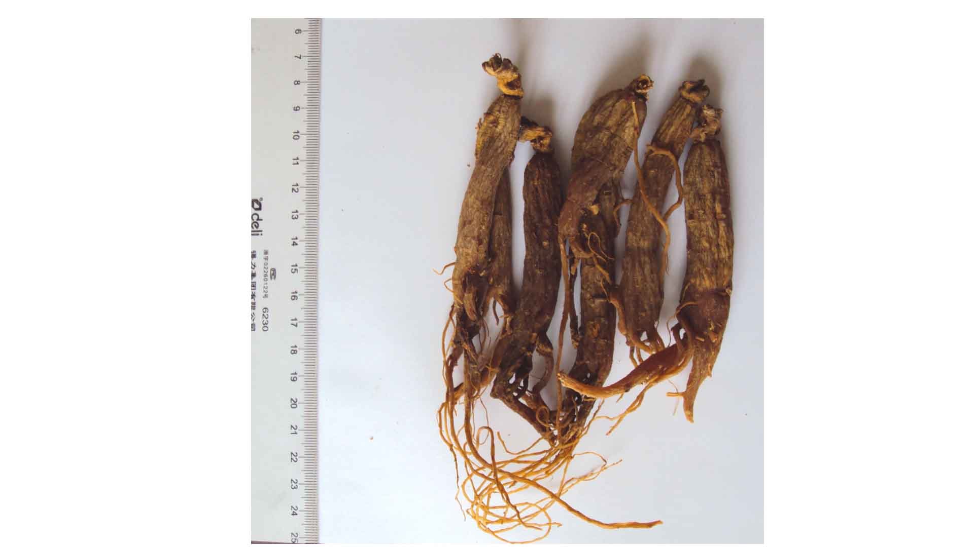 Red Ginseng Whole