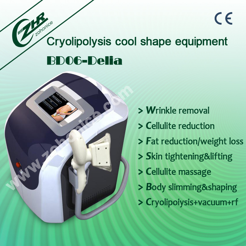 Multi-Function Cryolipolysis Weight Loss Beauty Equipment (BD06C)