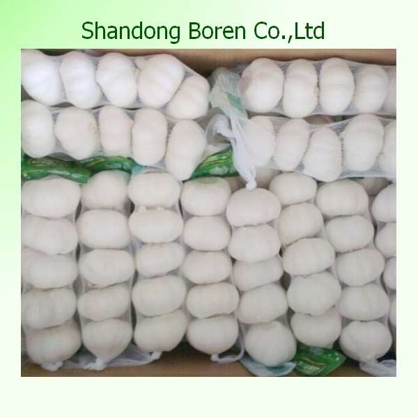 2015 Chinese New Crop Garlic
