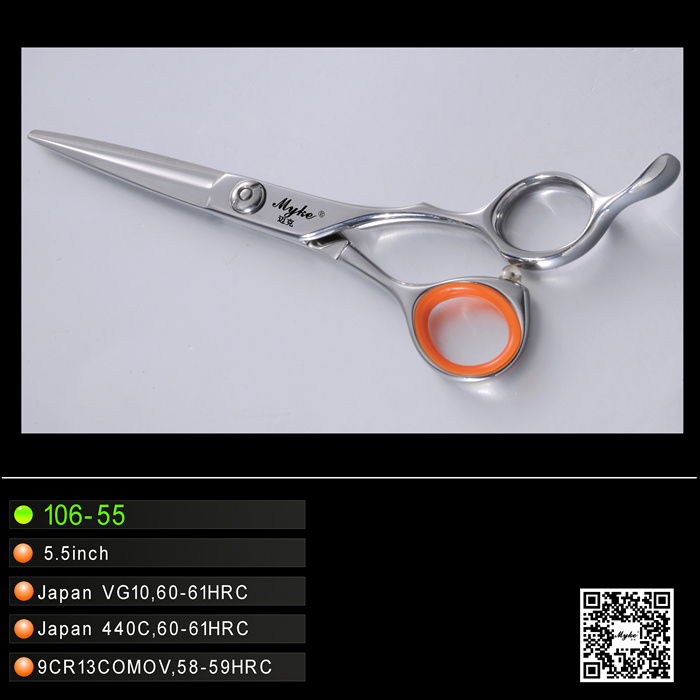 Professional Hairdressing Cutting Scissors (106-55)