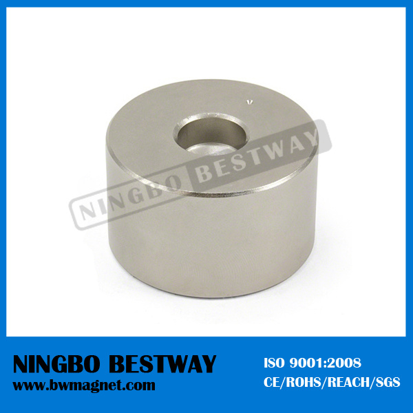 N42m Ring Injection Molding Magnet