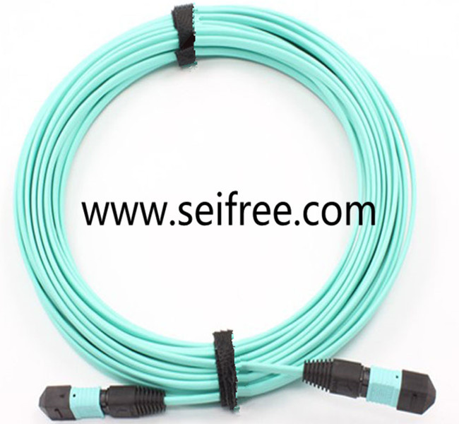 3mm MPO Optical Jumper Wire with Single Mode (Simplex)