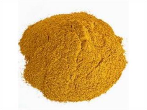 Corn Protein Powder for Animal Feed with Competitive Price