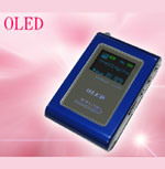 MP3 Player (SM303A)