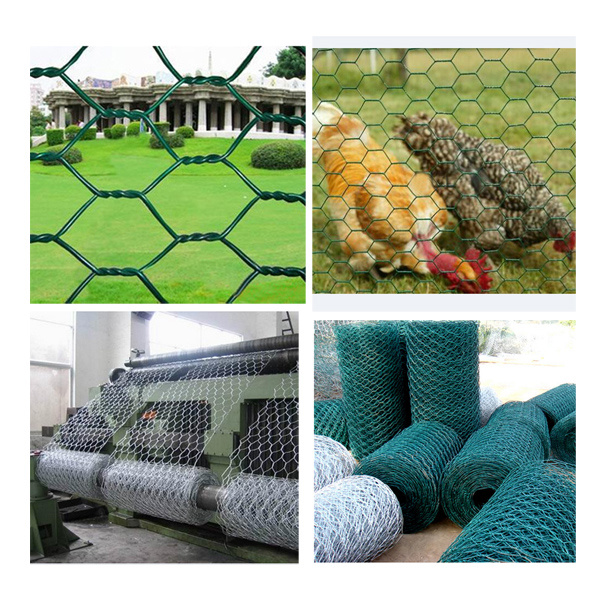 Galvanized Hexagona Chicken Wire Mesh Wire Netting