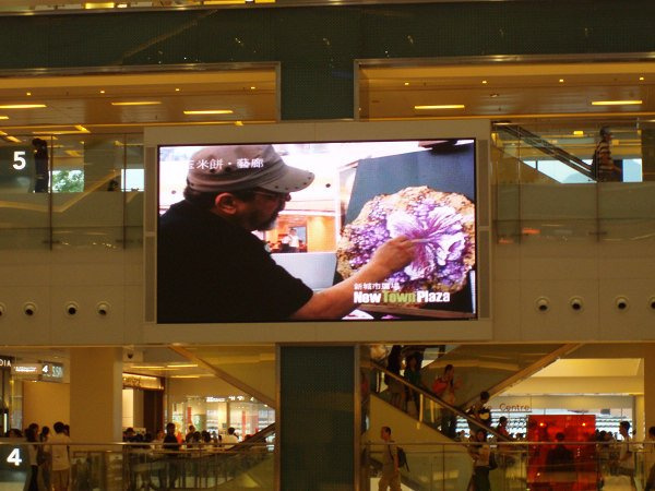 Indoor Full Color LED Display (P12mm) (HX-IF12)