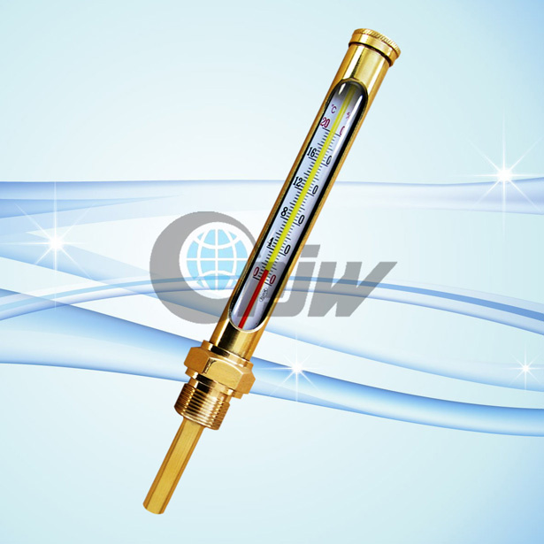 Temperature Meter