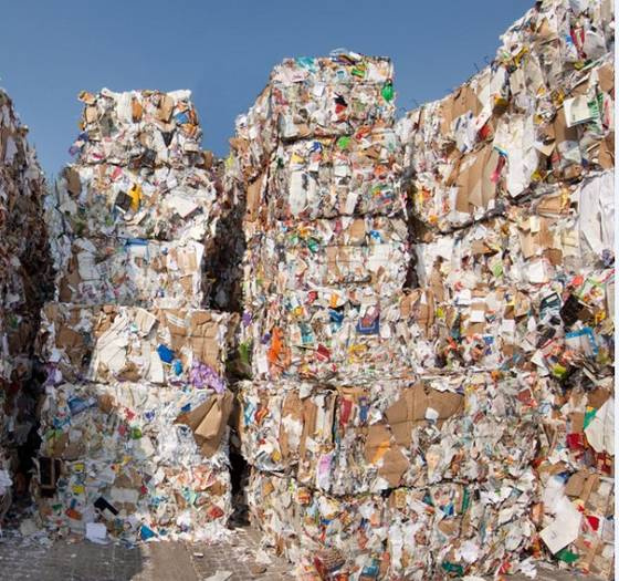 Waste Paper