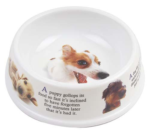 Large Single Bowl, Pet Product