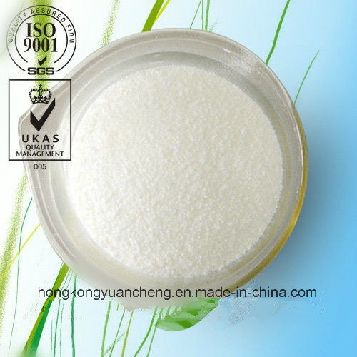 Top Quality High Purity Benzocaine CAS No. 94-09-7 with Good Price Factory Directly Supplying