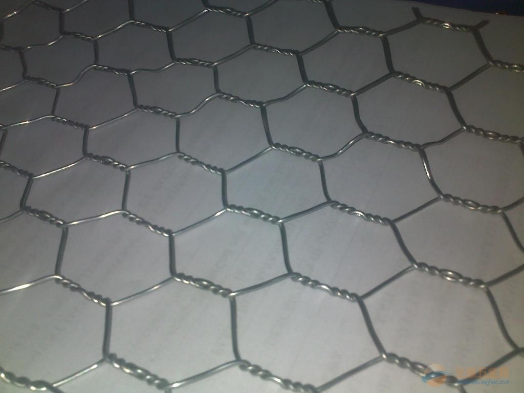 Hexagonal Wire Mesh/Chicken Wire Netting