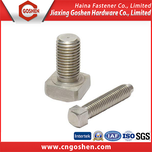 Stainless Steel 304 316 DIN216 T Square Head Bolt