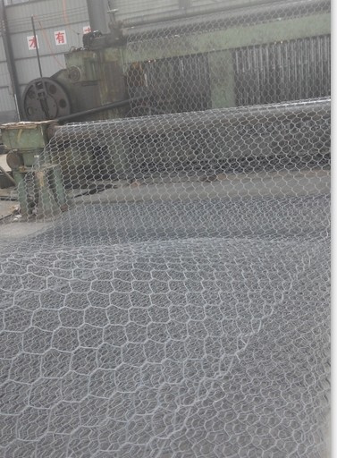 Hexagonal Wire Netting (factory)